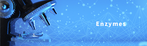 Latest company news about ولاند به عنوان یکی از 