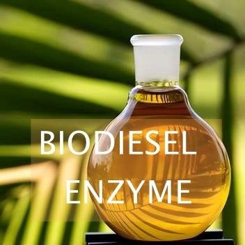 قیمت خوب واکنش های ترانس استریفیکاسیون آنزیم لیپاز برای سنتز بیودیزل آنلاین