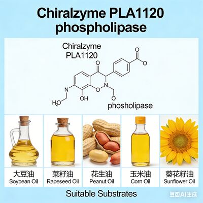 قیمت خوب کیرالزیم PLA1120٬ فوسفولیپاز A1 با کارایی بالا برای پاکسازی روغن٬ KDN آنلاین