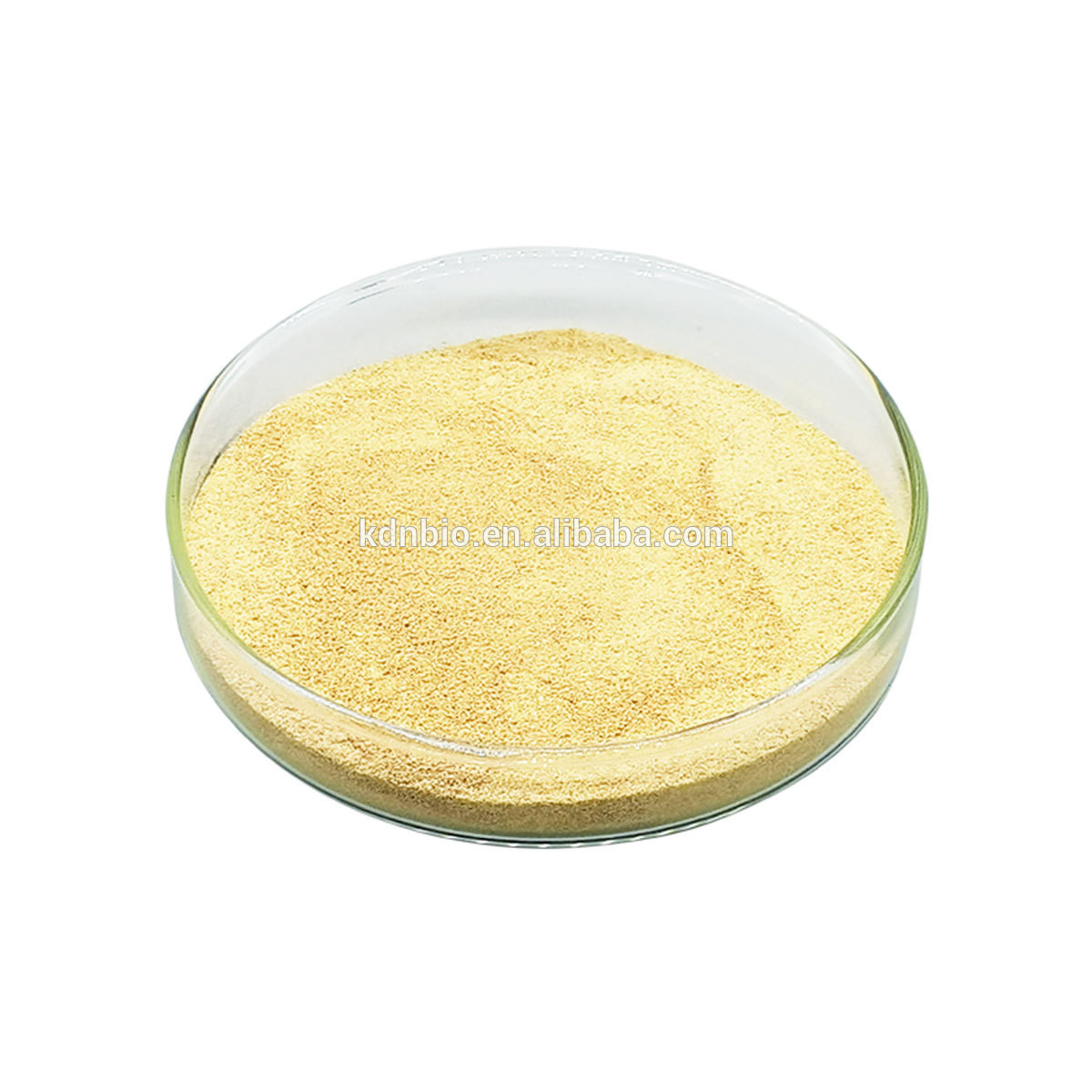 Industrial Lipase Enzyme