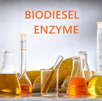 قیمت خوب آنزیم استراز اسید چرب با محلولیت بالا برای کاربردهای دارویی آنلاین