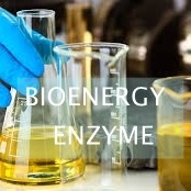 قیمت خوب تبدیل ضایعات روغن پخت و پز به بیودیزل با کاتالیز ISO لیپاز آنلاین