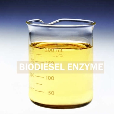 قیمت خوب PH 7-9 آنزیم دیزل زیستی تولید دیزل زیستی را با نسل بعدی بهینه می کند آنلاین
