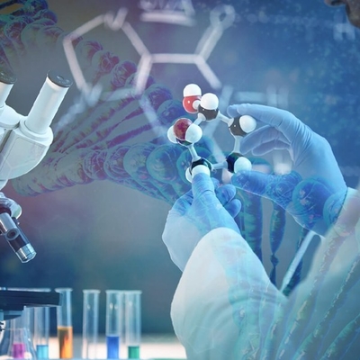 قیمت خوب جلوتر از رقابت: استفاده از پتانسیل کامل Candida Antarctica Lipase B آنلاین