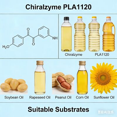 قیمت خوب Chiralzyme PLA1120 | آنزیم گرید غذایی برای تصفیه مقرون به صرفه روغن آنلاین