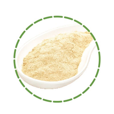 قیمت خوب سیستم های کشاورزی پروبیوتیک های خاک برای گیاهان پوسیدگی ریشه از میکروب جلوگیری کنید آنلاین
