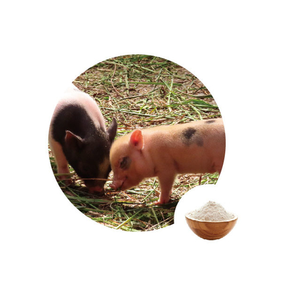 قیمت خوب اتصال سم برای آنزیم های گلوکز اسید گلوکونیک گلوکز اکسیداز خوراک گاو در تغذیه طیور آنلاین