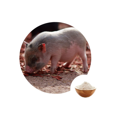قیمت خوب مواد افزودنی خوراک گلوکز اکسیداز Gox برای اتصال دهنده های سم طبیعی مرغ برای خوک ها آنلاین